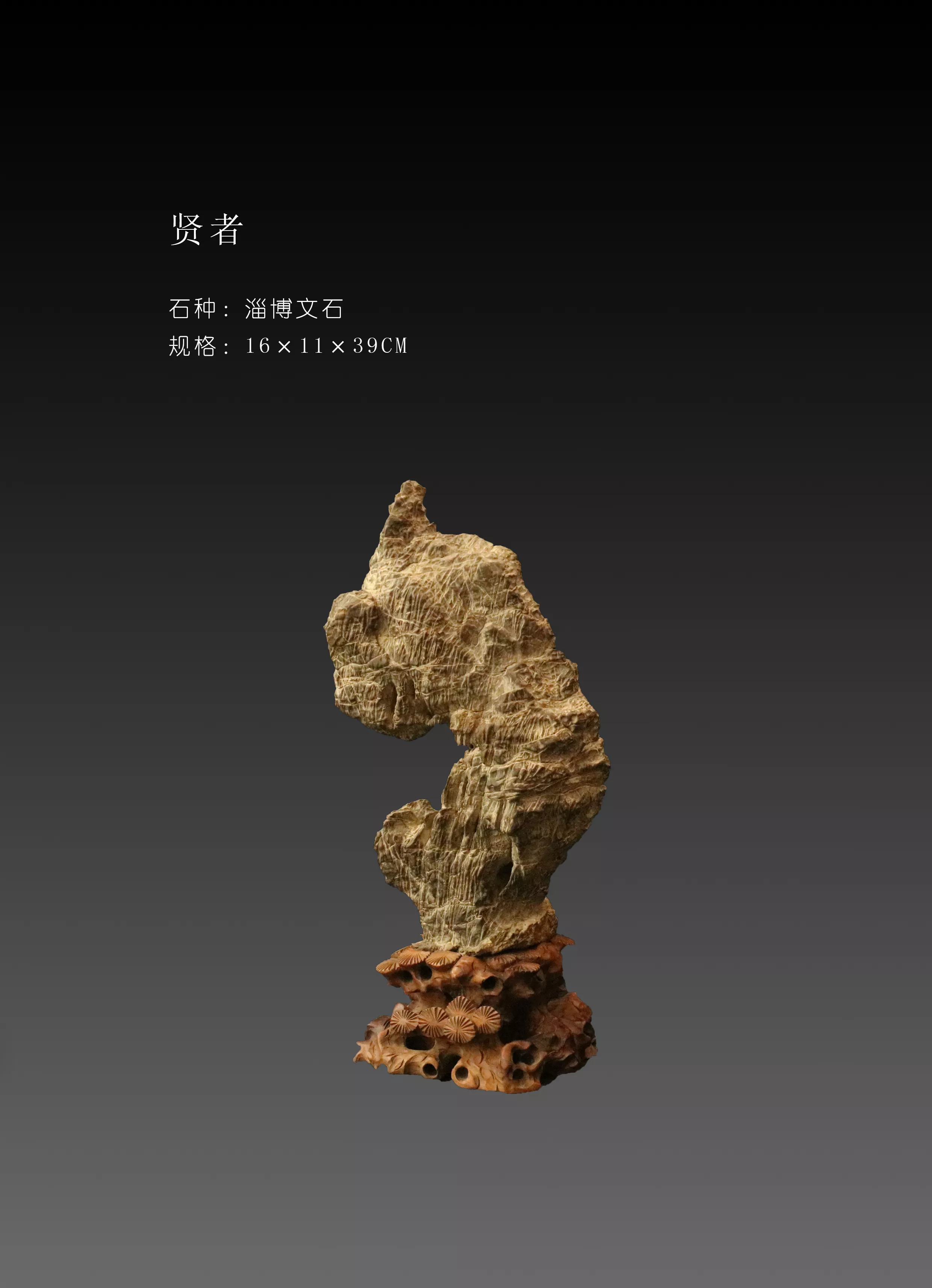 贤者