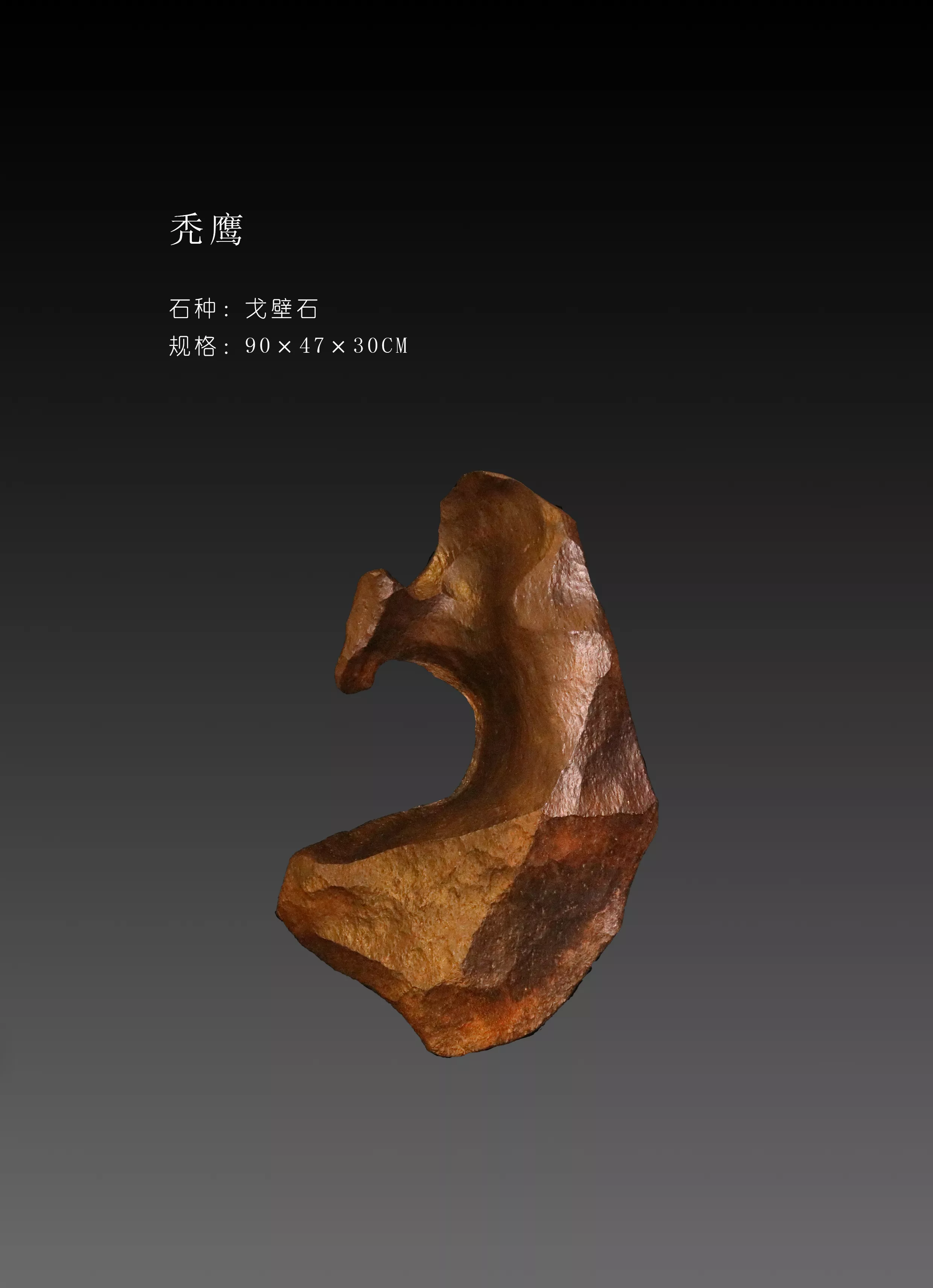 秃鹰