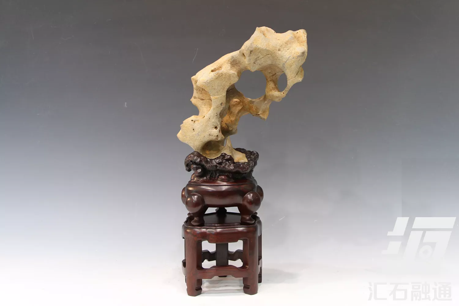 窥月