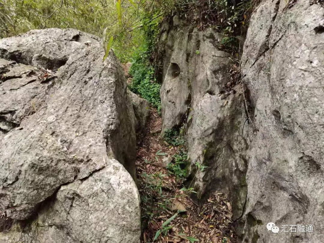 爱石成癖,尤其是晚年寓居卞山后,与石为伴,老而弥笃,自号石林居士,所